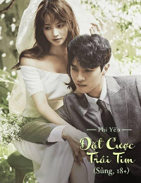 Đặt Cược Trái Tim – Phi Yến