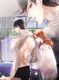 Tổng Tài Daddy Ngu Ngốc Bảo Bảo Theo Mẹ Full